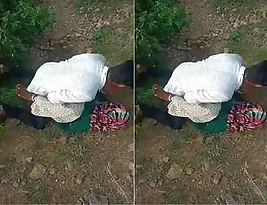 More hot scenes with college girls giving blow jobs outdoors