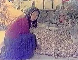 Talkative slut gets banged hard in hot Turkish video.